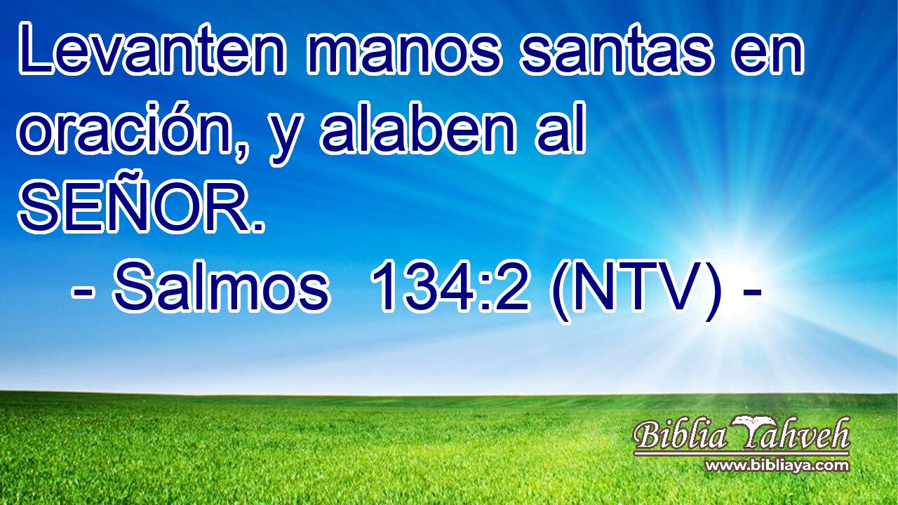Levanten manos santas en oración, y alaben al SEÑOR.