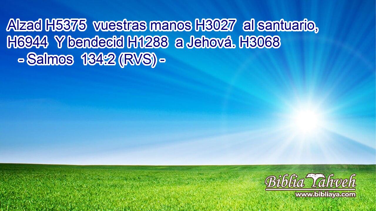 Alzad H5375  vuestras manos H3027  al santuario, H6944  Y bendecid H1288  a Jehová. H3068  
