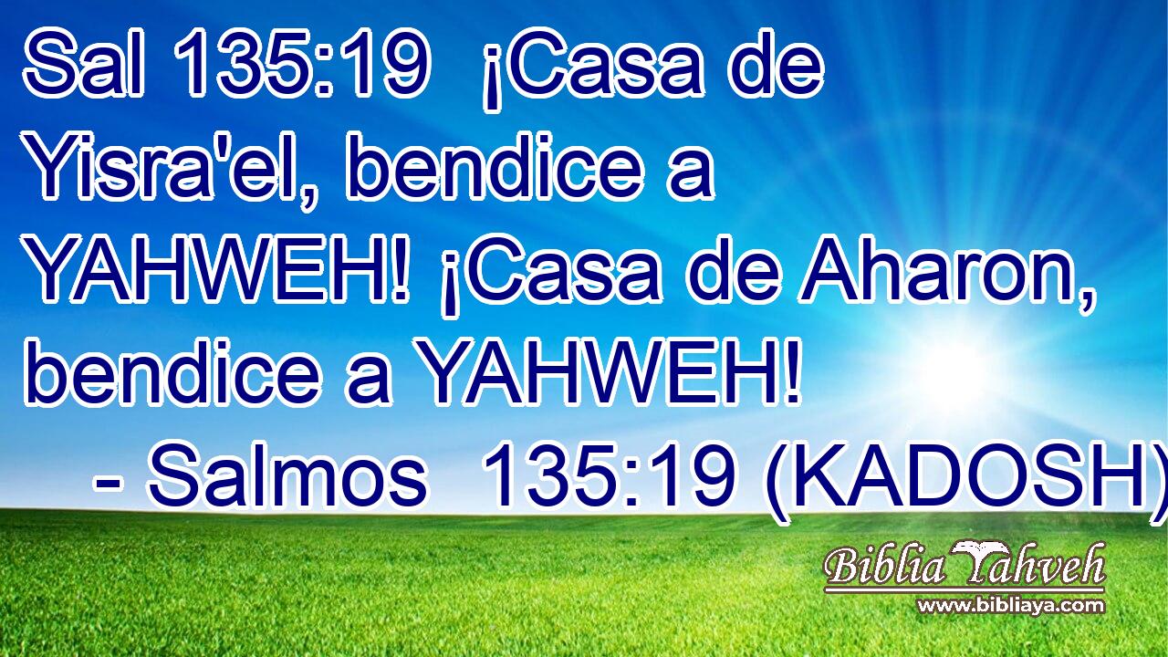  ¡Casa de Yisra'el, bendice a YAHWEH! ¡Casa de Aharon, bendice a YAHWEH! 