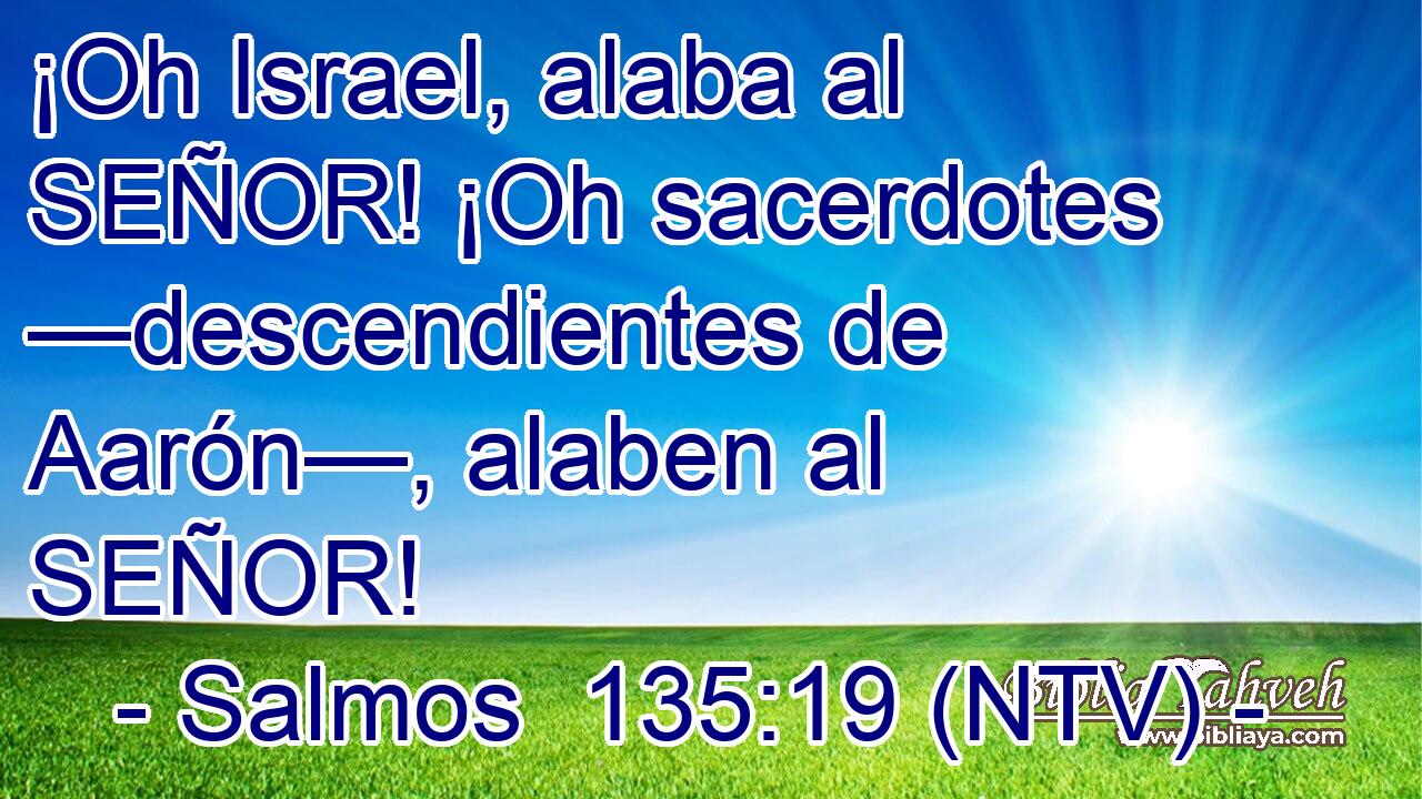 ¡Oh Israel, alaba al SEÑOR! ¡Oh sacerdotes —descendientes de Aarón—, alaben al SEÑOR!