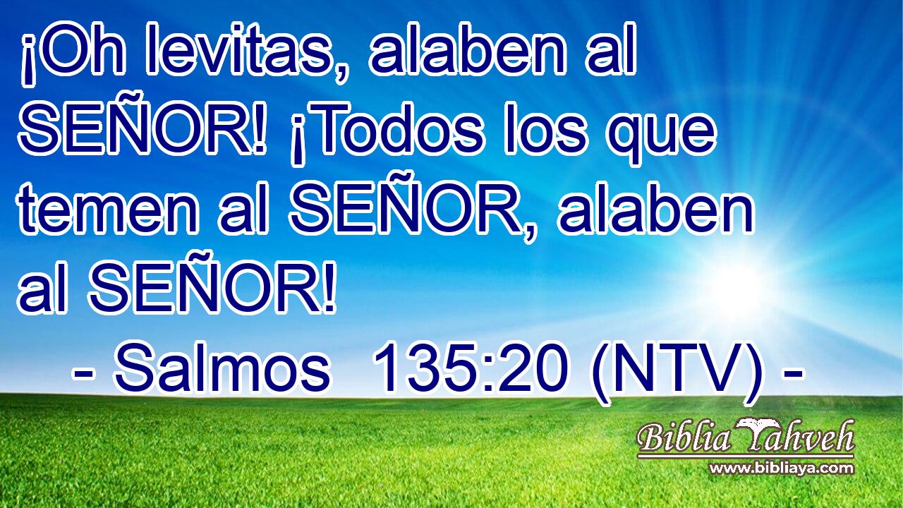 ¡Oh levitas, alaben al SEÑOR! ¡Todos los que temen al SEÑOR, alaben al SEÑOR!