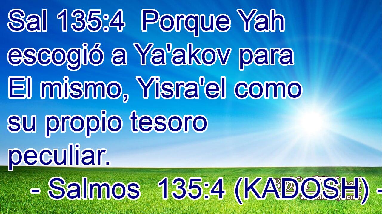  Porque Yah escogió a Ya'akov para El mismo, Yisra'el como su propio tesoro peculiar. 
