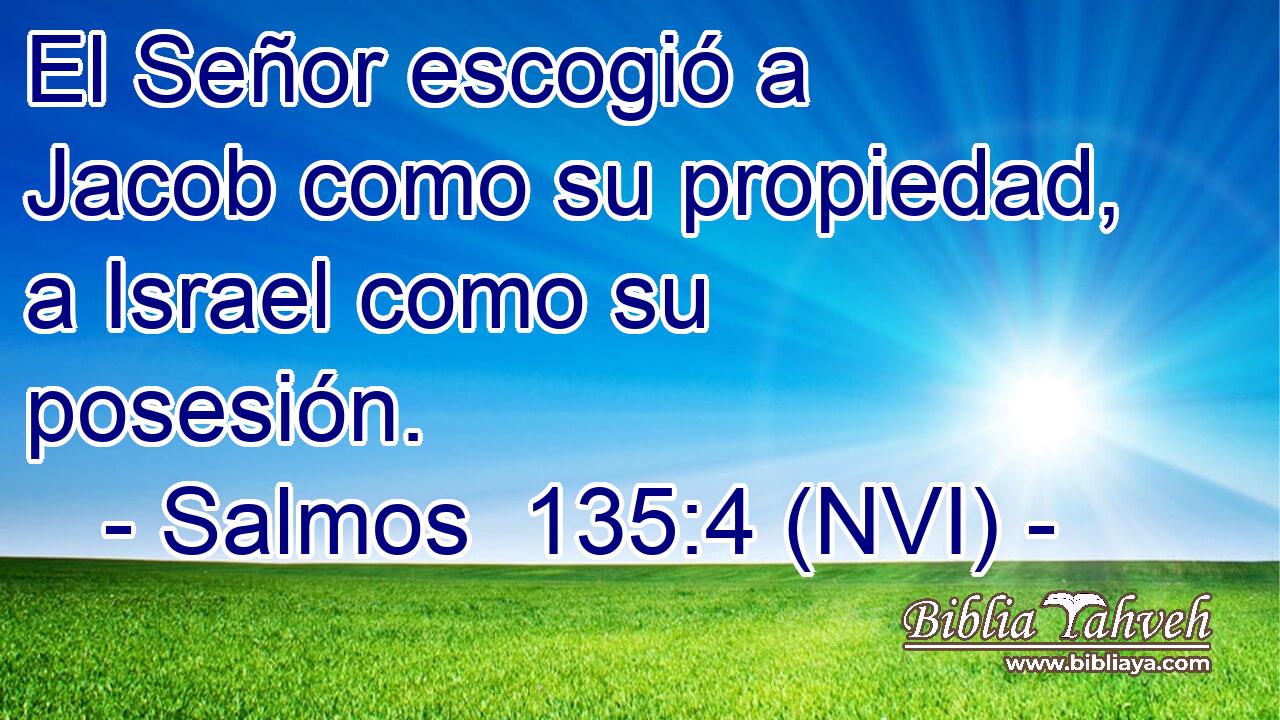 El Señor escogió a Jacob como su propiedad, a Israel como su posesión. 