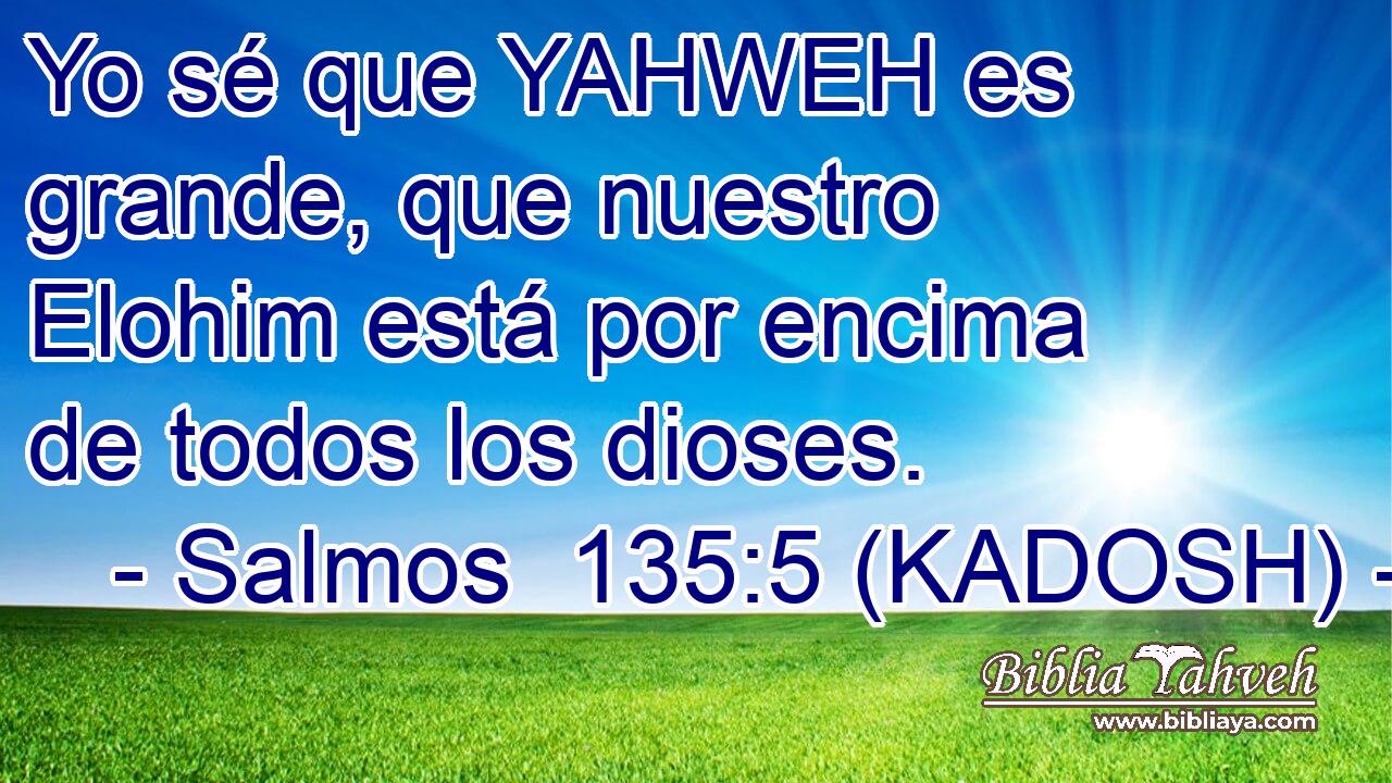  Yo sé que YAHWEH es grande, que nuestro Elohim está por encima de todos los dioses. 