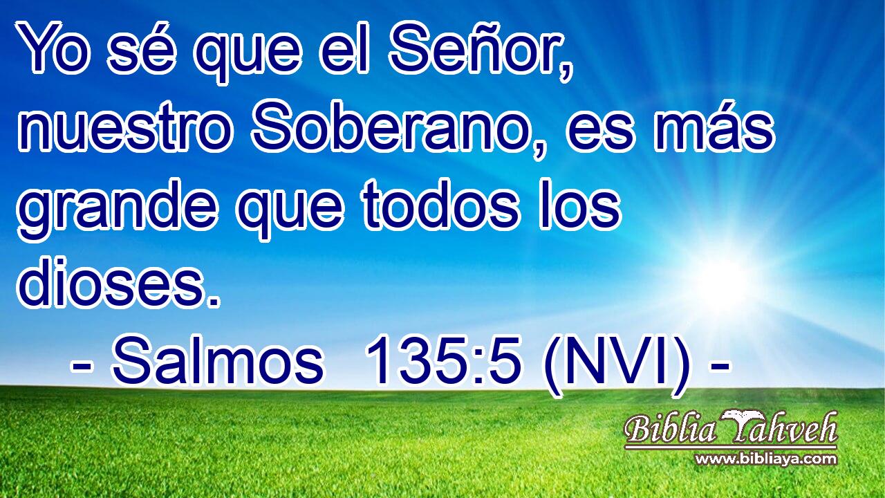  Yo sé que el Señor, nuestro Soberano, es más grande que todos los dioses. 