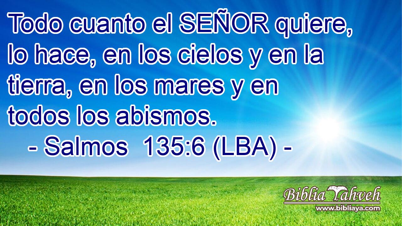 Todo cuanto el SEÑOR quiere, lo hace, en los cielos y en la tierra, en los mares y en todos los abismos.