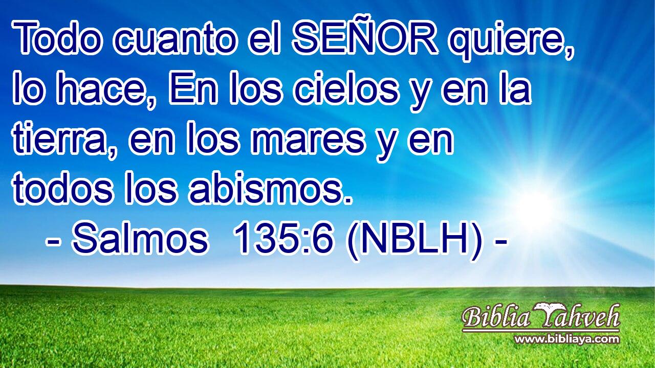  Todo cuanto el SEÑOR quiere, lo hace, En los cielos y en la tierra, en los mares y en todos los abismos. 