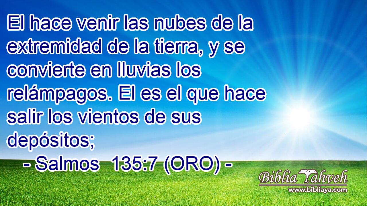  El hace venir las nubes de la extremidad de la tierra, y se convierte en lluvias los relámpagos. El es el que hace salir los vientos de sus depósitos; 