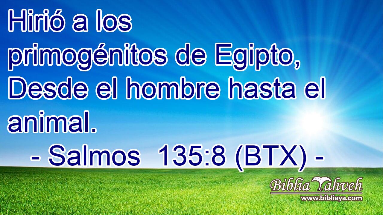 Hirió a los primogénitos de Egipto, Desde el hombre hasta el animal.