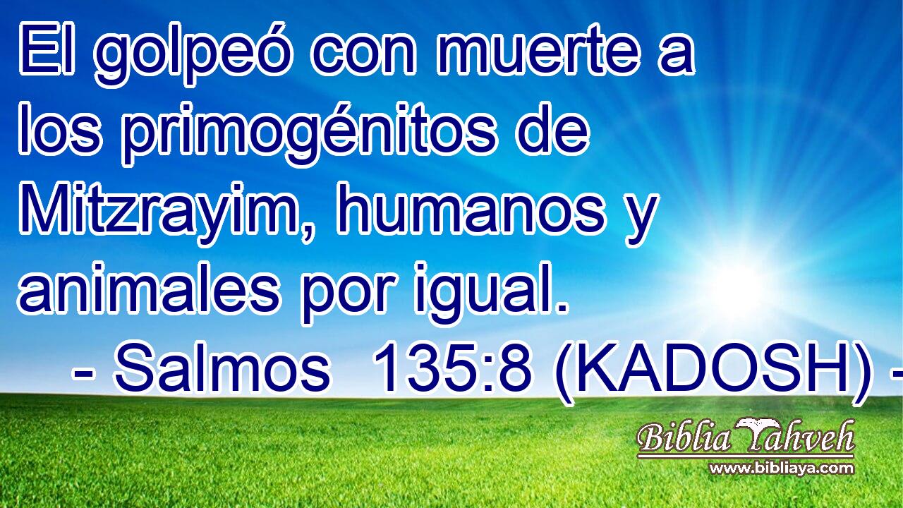  El golpeó con muerte a los primogénitos de Mitzrayim, humanos y animales por igual. 
