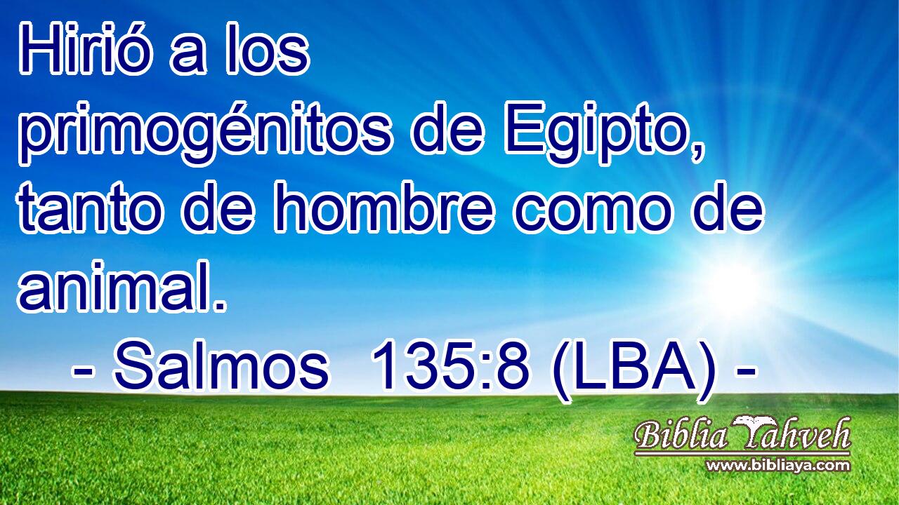 Hirió a los primogénitos de Egipto, tanto de hombre como de animal.
