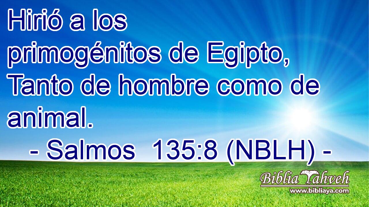  Hirió a los primogénitos de Egipto, Tanto de hombre como de animal. 