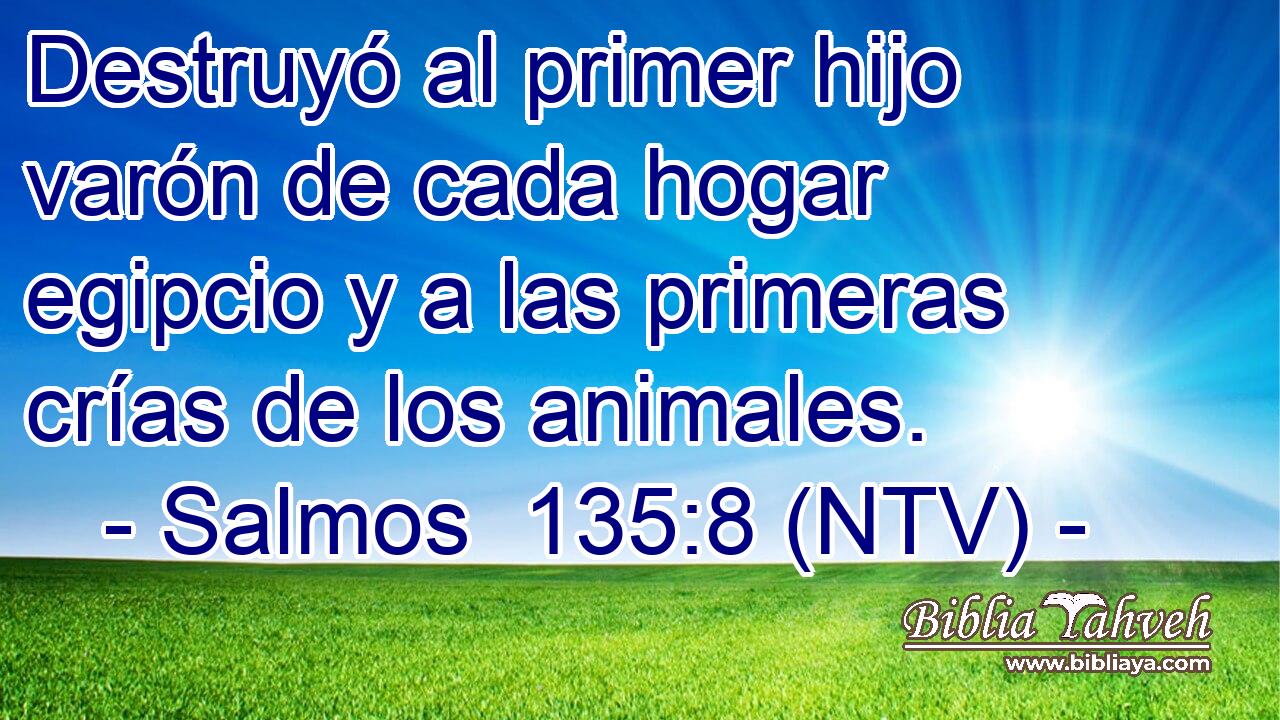 Destruyó al primer hijo varón de cada hogar egipcio y a las primeras crías de los animales.