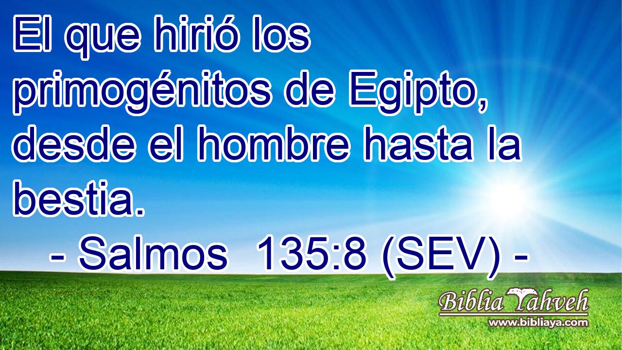 El que hirió los primogénitos de Egipto, desde el hombre hasta la bestia.