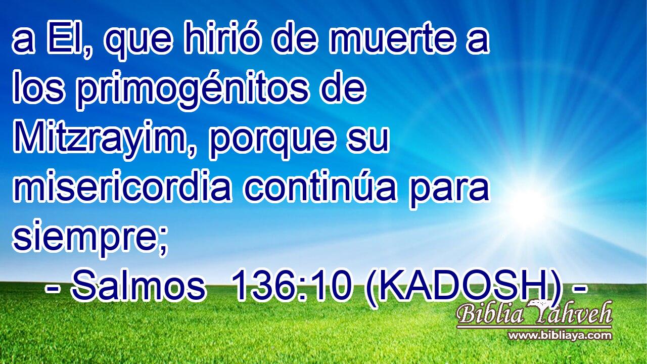 a El, que hirió de muerte a los primogénitos de Mitzrayim, porque su misericordia continúa para siempre; 