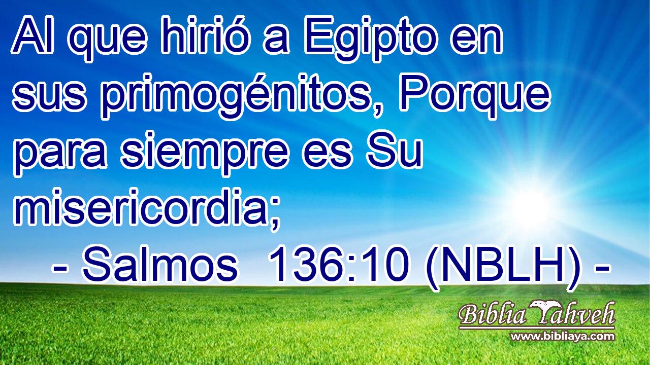  Al que hirió a Egipto en sus primogénitos, Porque para siempre es Su misericordia; 