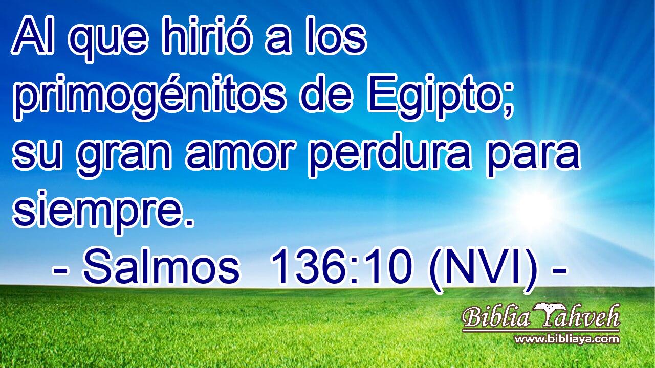  Al que hirió a los primogénitos de Egipto; su gran amor perdura para siempre. 