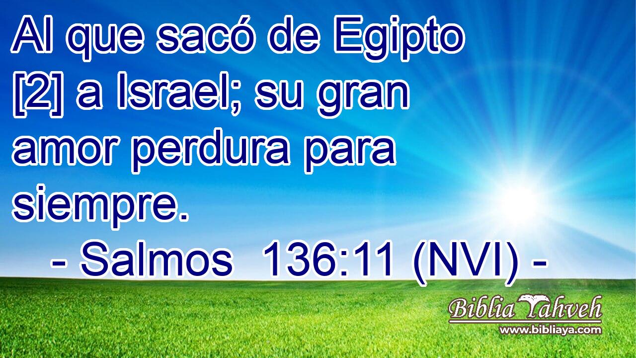 Al que sacó de Egipto [2] a Israel; su gran amor perdura para siempre. 