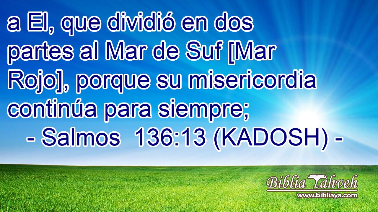  a El, que dividió en dos partes al Mar de Suf [Mar Rojo], porque su misericordia continúa para siempre; 