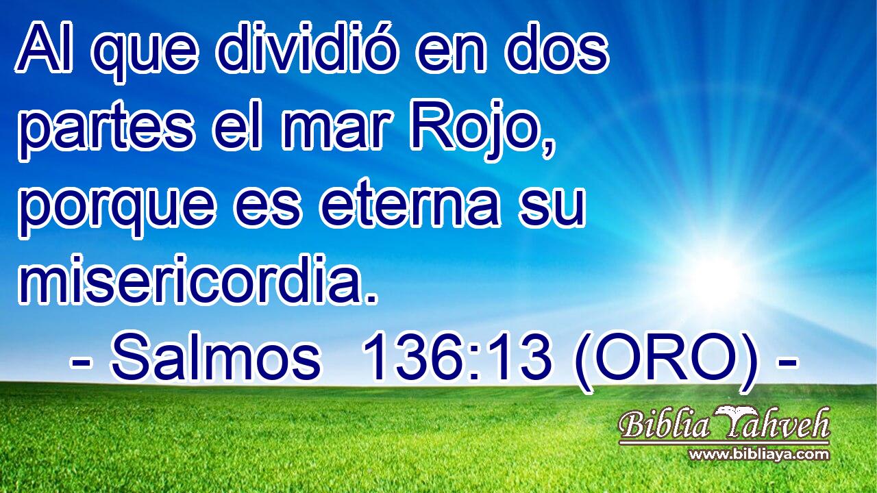  Al que dividió en dos partes el mar Rojo, porque es eterna su misericordia. 