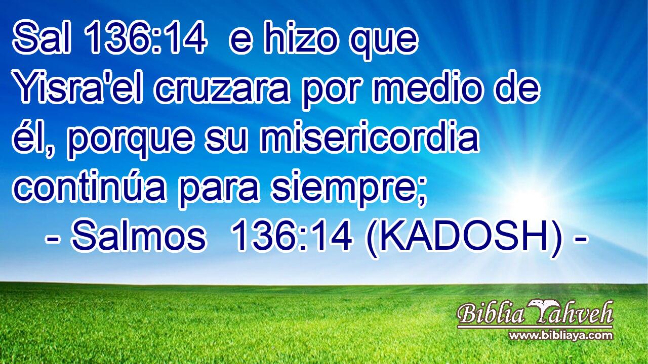  e hizo que Yisra'el cruzara por medio de él, porque su misericordia continúa para siempre; 