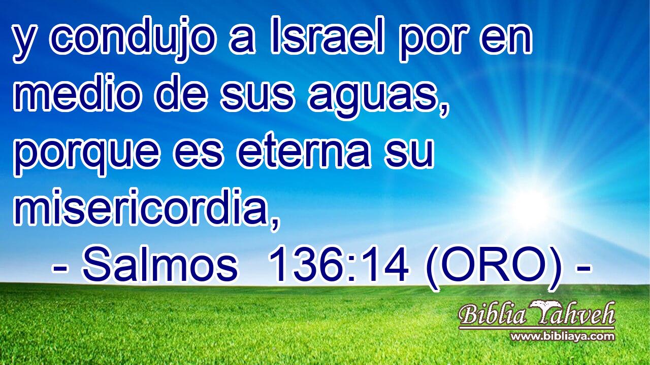  y condujo a Israel por en medio de sus aguas, porque es eterna su misericordia, 