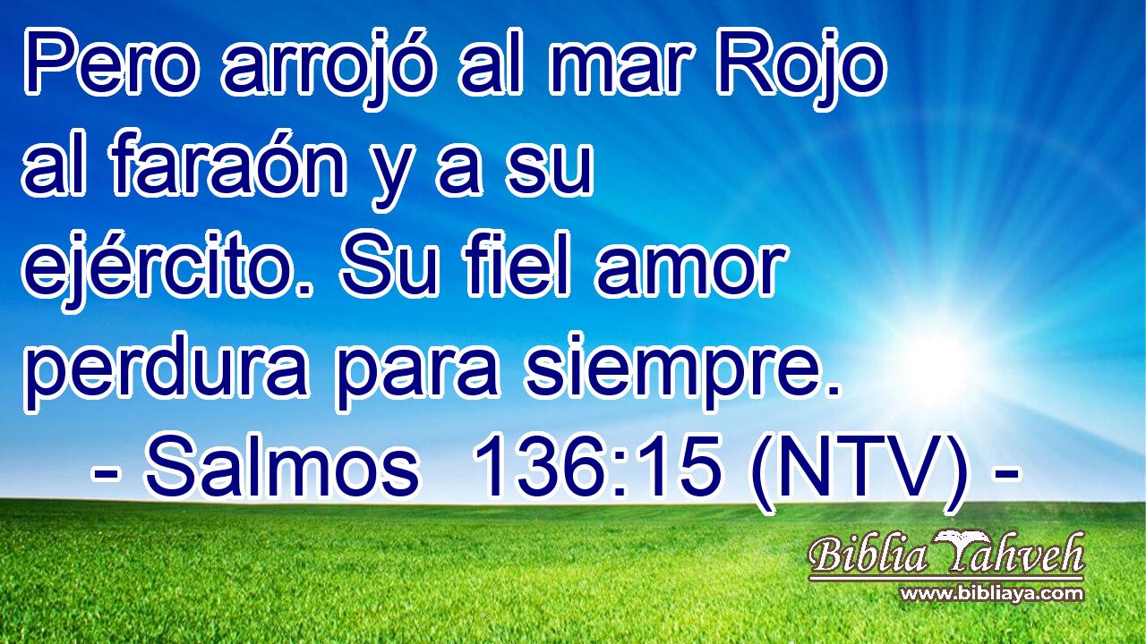 Pero arrojó al mar Rojo al faraón y a su ejército. Su fiel amor perdura para siempre.