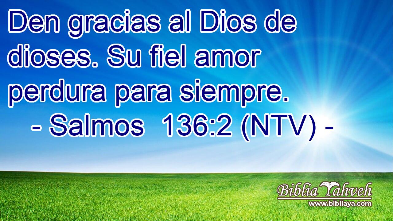 Den gracias al Dios de dioses. Su fiel amor perdura para siempre.