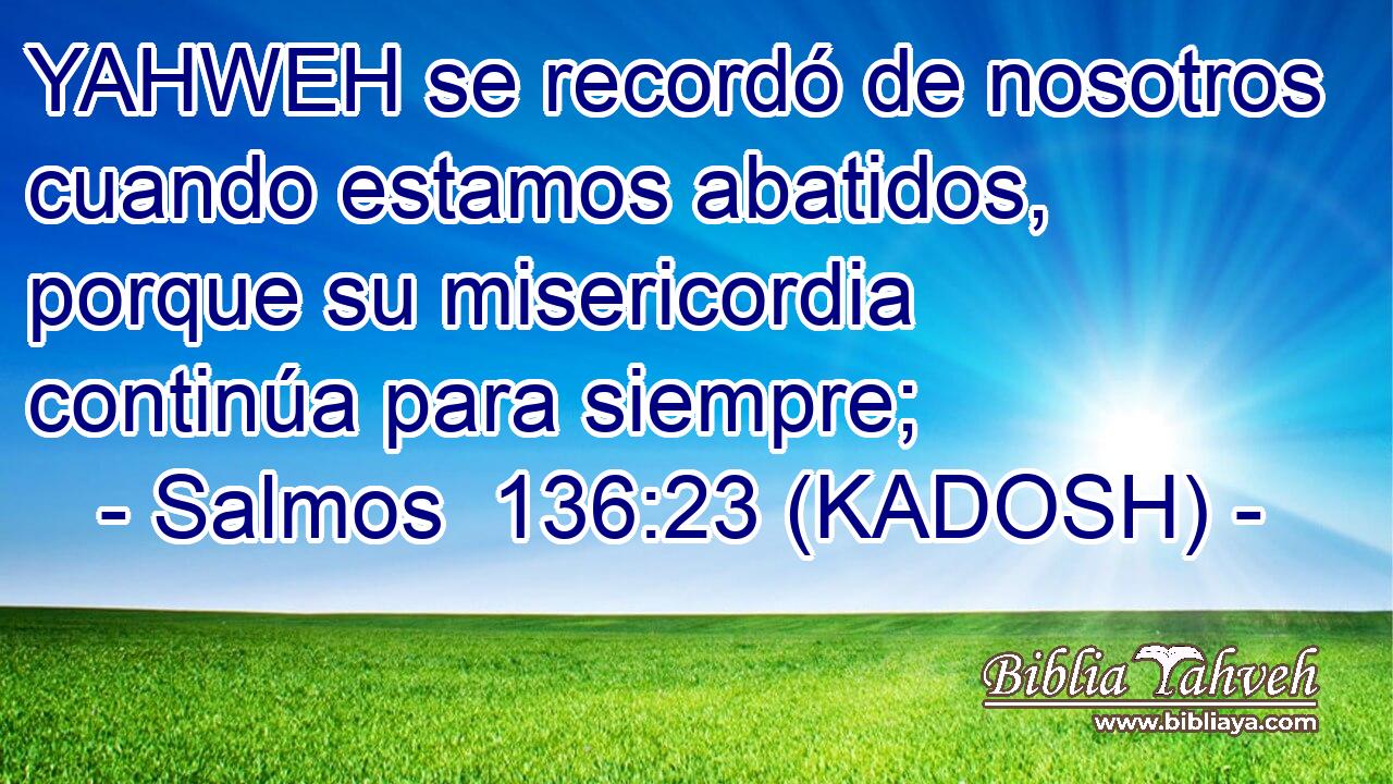  YAHWEH se recordó de nosotros cuando estamos abatidos, porque su misericordia continúa para siempre; 