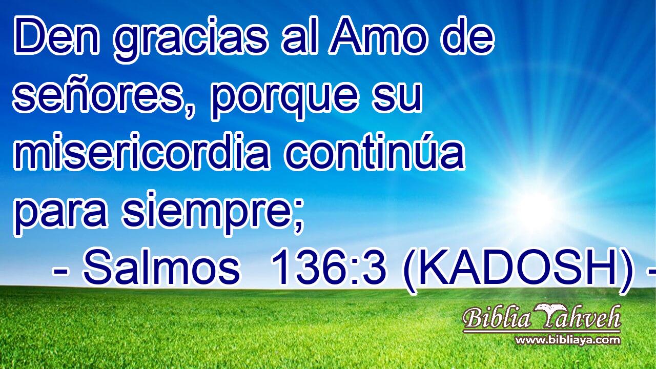  Den gracias al Amo de señores, porque su misericordia continúa para siempre; 