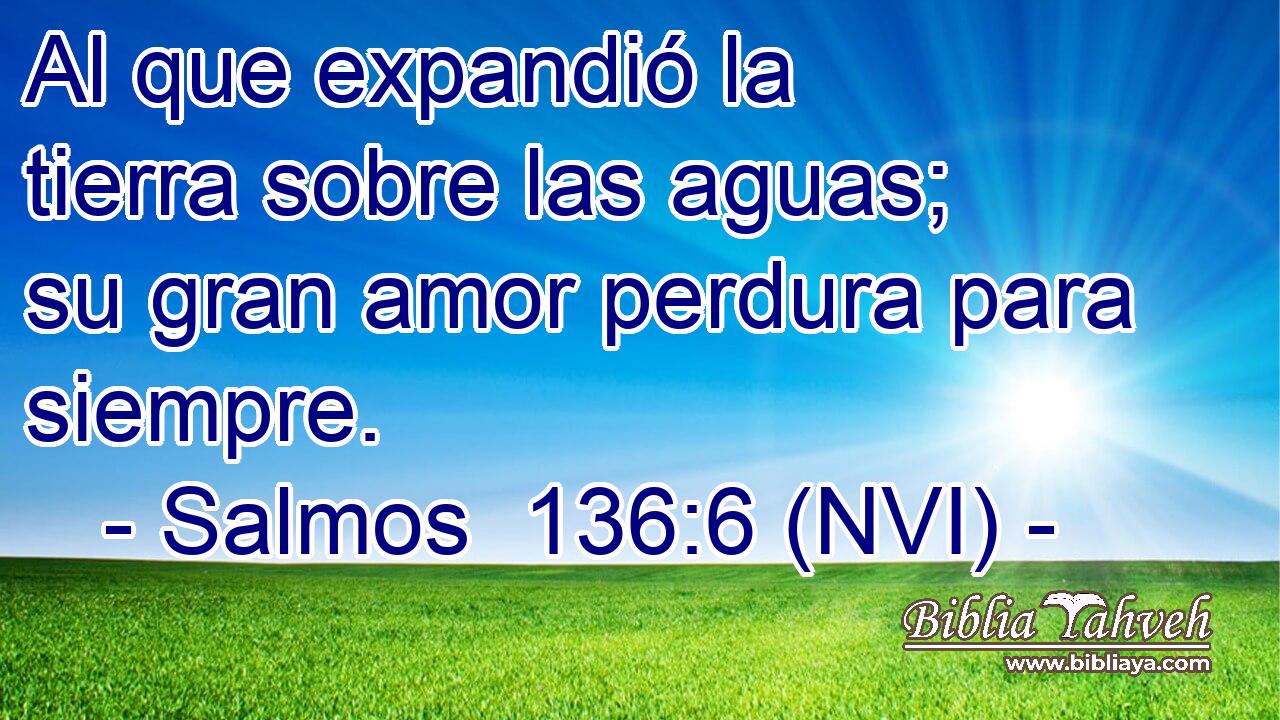  Al que expandió la tierra sobre las aguas; su gran amor perdura para siempre. 
