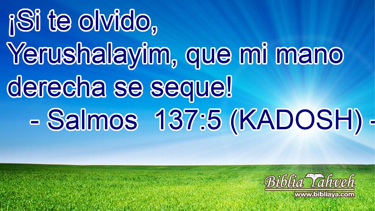  ¡Si te olvido, Yerushalayim, que mi mano derecha se seque! 