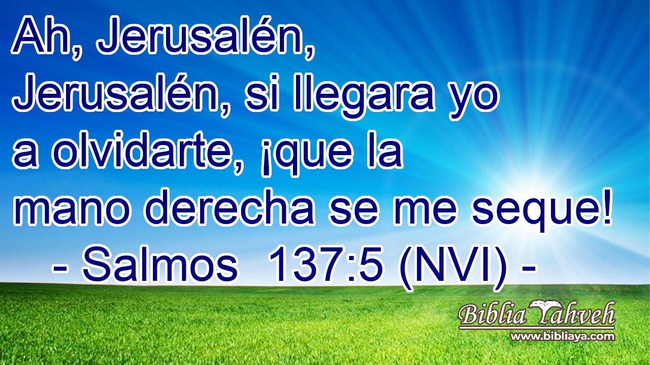  Ah, Jerusalén, Jerusalén, si llegara yo a olvidarte, ¡que la mano derecha se me seque! 