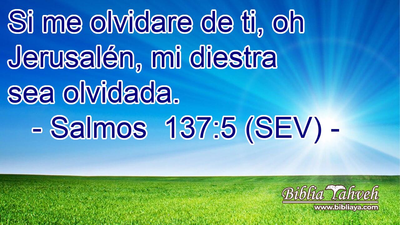Si me olvidare de ti, oh Jerusalén, mi diestra sea olvidada.