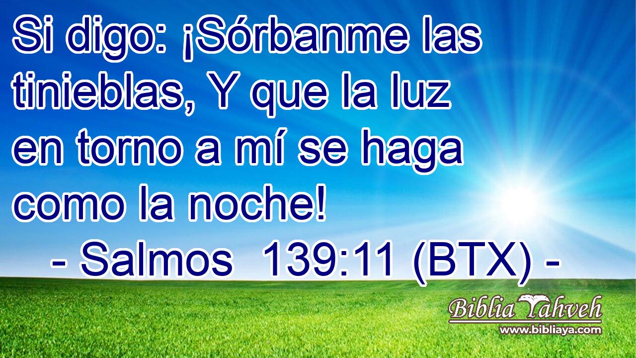 Si digo: ¡Sórbanme las tinieblas, Y que la luz en torno a mí se haga como la noche!