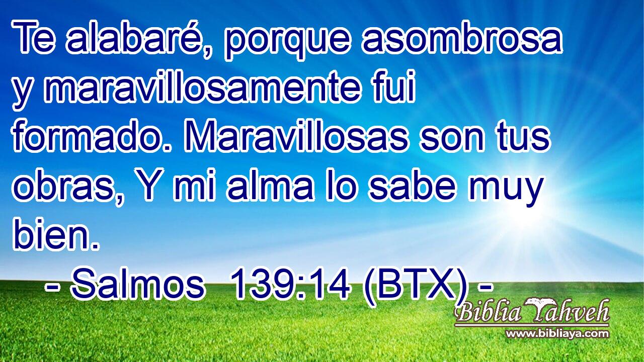 Te alabaré, porque asombrosa y maravillosamente fui formado. Maravillosas son tus obras, Y mi alma lo sabe muy bien.