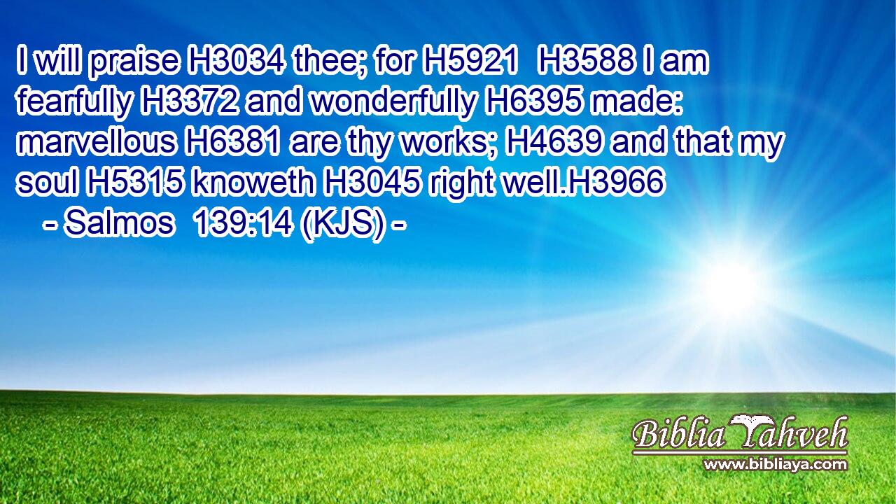 I will praise H3034 thee; for H5921  H3588 I am fearfully H3372 and wonderfully H6395 made: marvellous H6381 are thy works; H4639 and that my soul H5315 knoweth H3045 right well.H3966