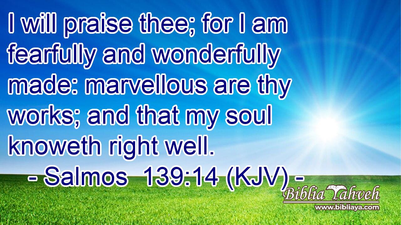 I will praise thee; for I am fearfully and wonderfully made: marvellous are thy works; and that my soul knoweth right well.