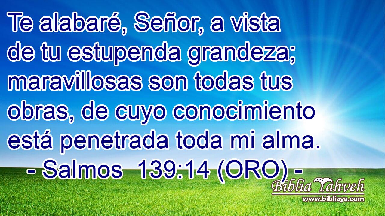  Te alabaré, Señor, a vista de tu estupenda grandeza; maravillosas son todas tus obras, de cuyo conocimiento está penetrada toda mi alma. 