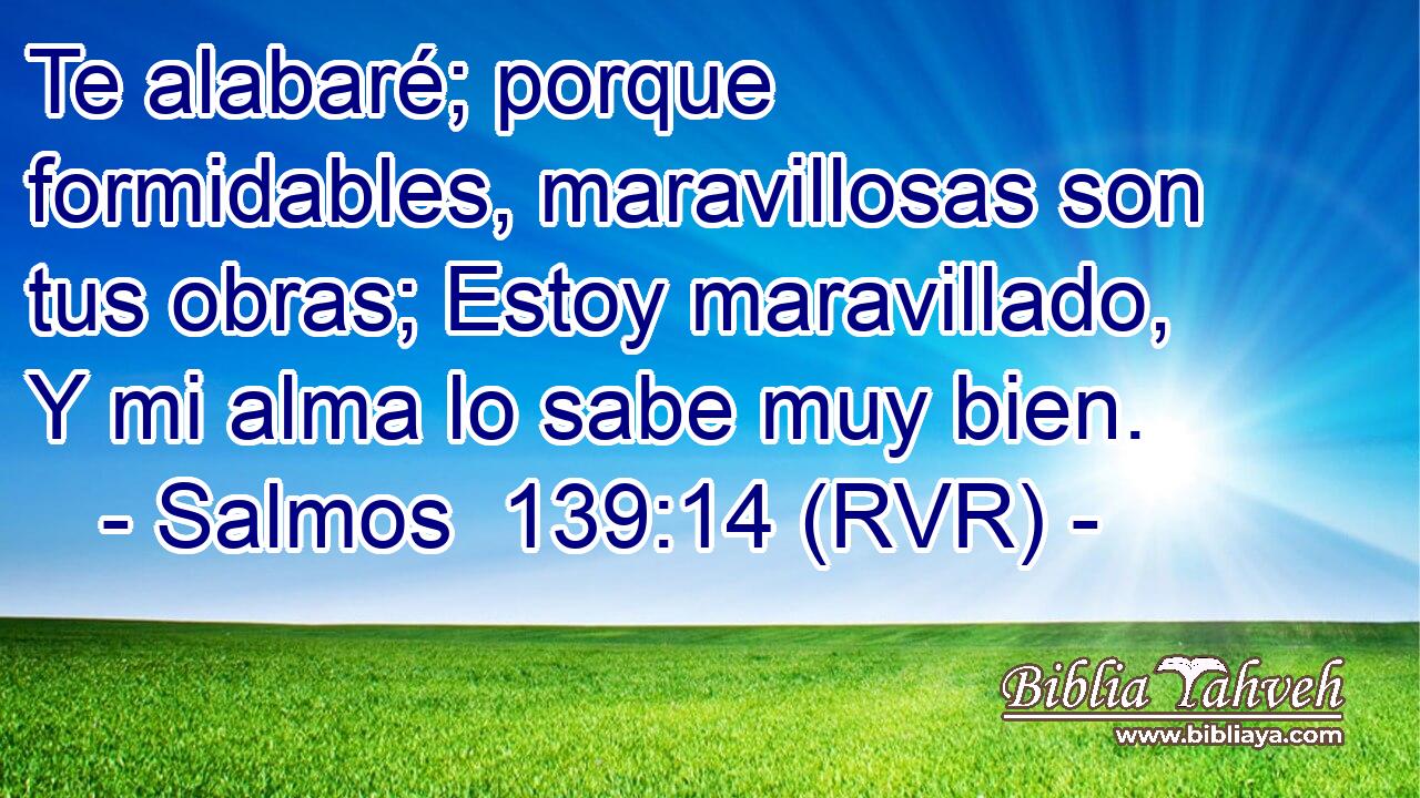 Te alabaré; porque formidables, maravillosas son tus obras; Estoy maravillado, Y mi alma lo sabe muy bien.