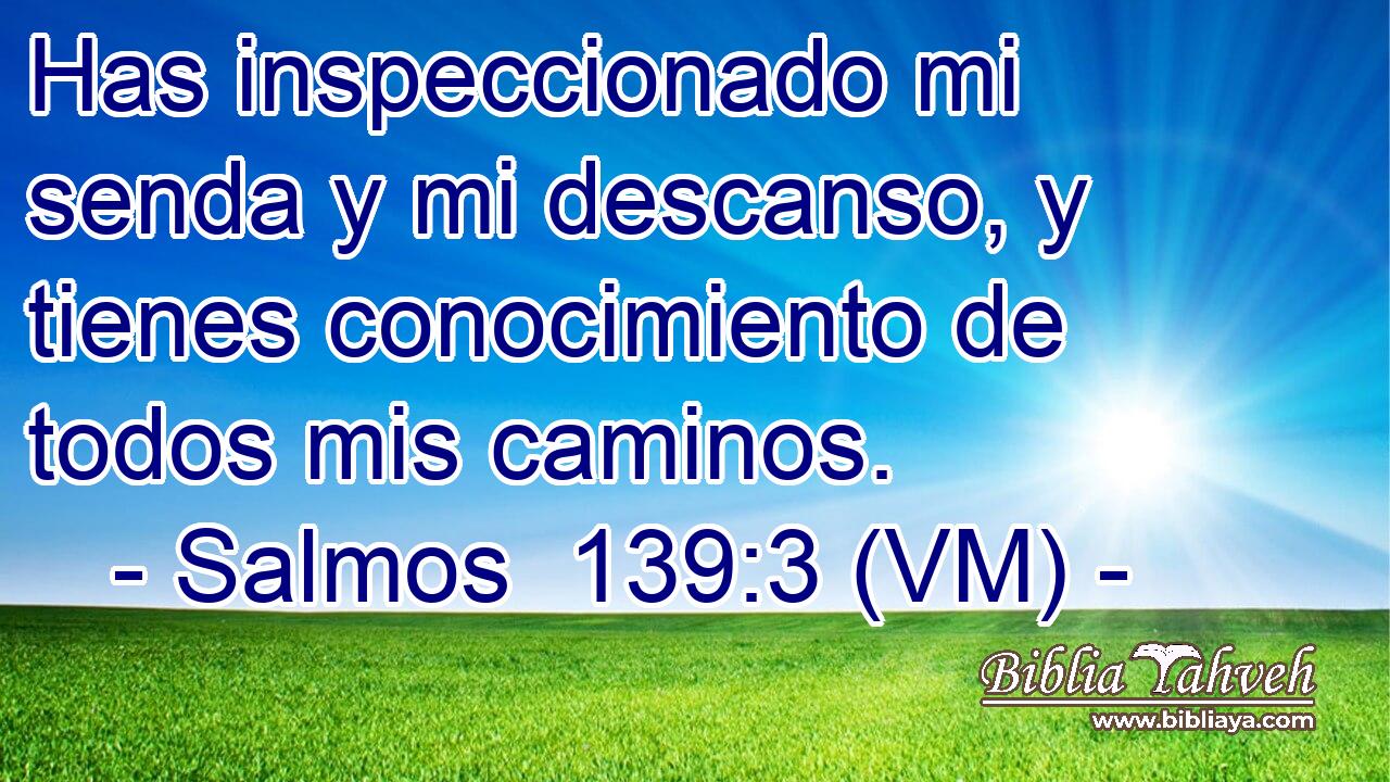  Has inspeccionado mi senda y mi descanso, y tienes conocimiento de todos mis caminos. 