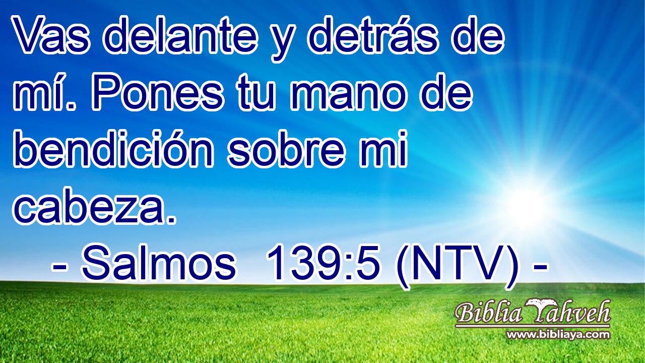 Vas delante y detrás de mí. Pones tu mano de bendición sobre mi cabeza.