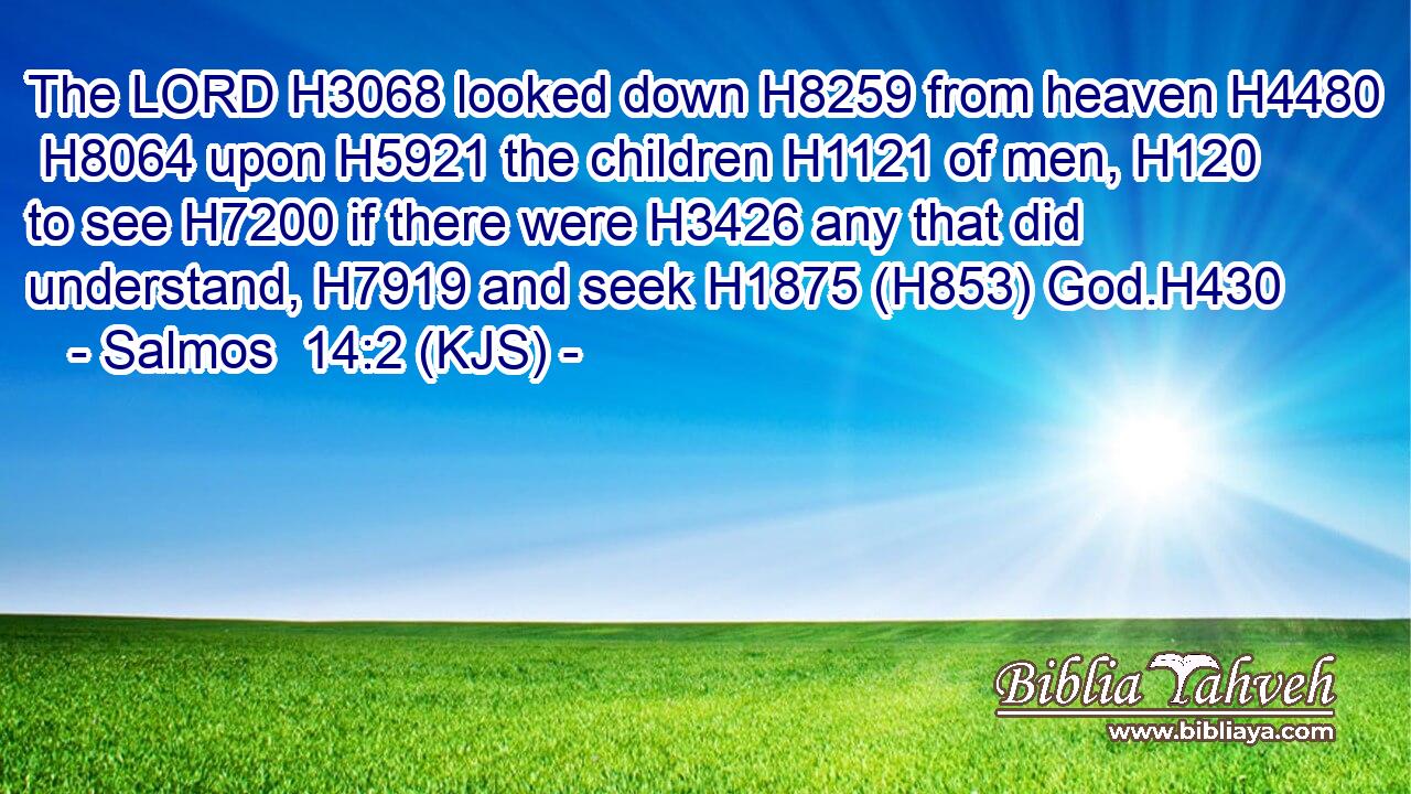 The LORD H3068 looked down H8259 from heaven H4480  H8064 upon H5921 the children H1121 of men, H120 to see H7200 if there were H3426 any that did understand, H7919 and seek H1875 (H853) God.H430