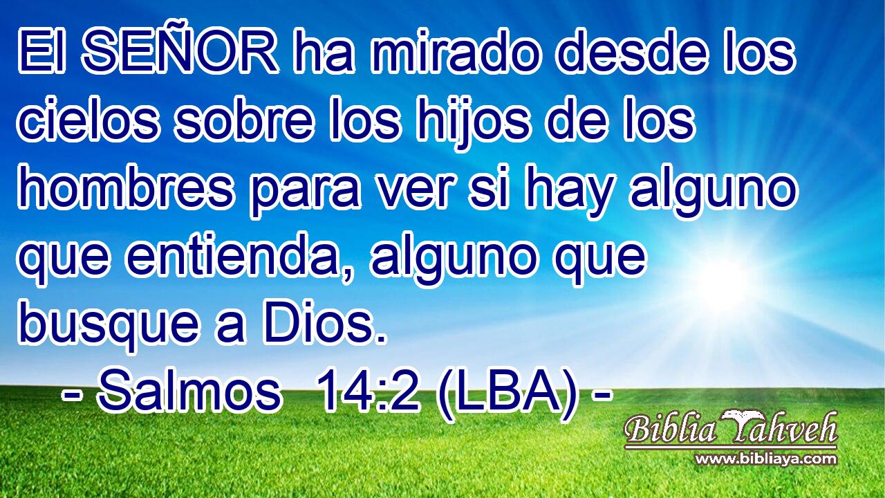 El SEÑOR ha mirado desde los cielos sobre los hijos de los hombres para ver si hay alguno que entienda, alguno que busque a Dios.