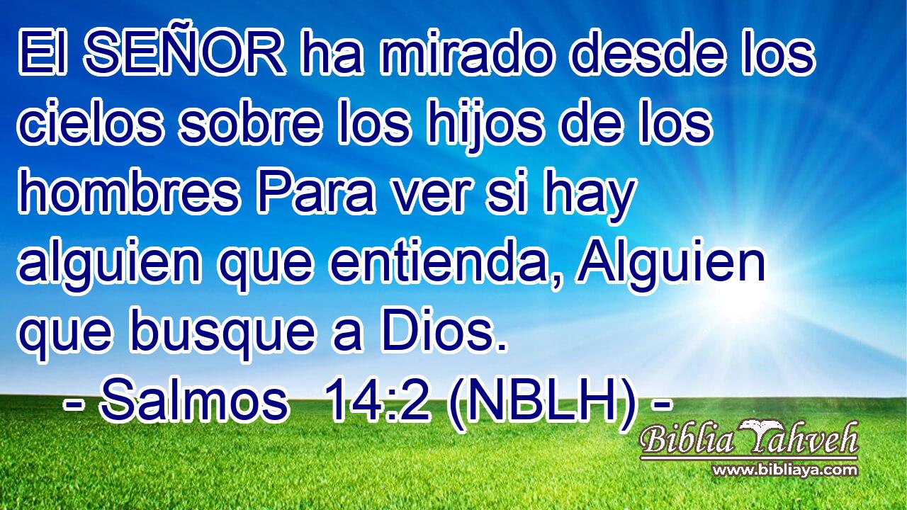  El SEÑOR ha mirado desde los cielos sobre los hijos de los hombres Para ver si hay alguien que entienda, Alguien que busque a Dios. 