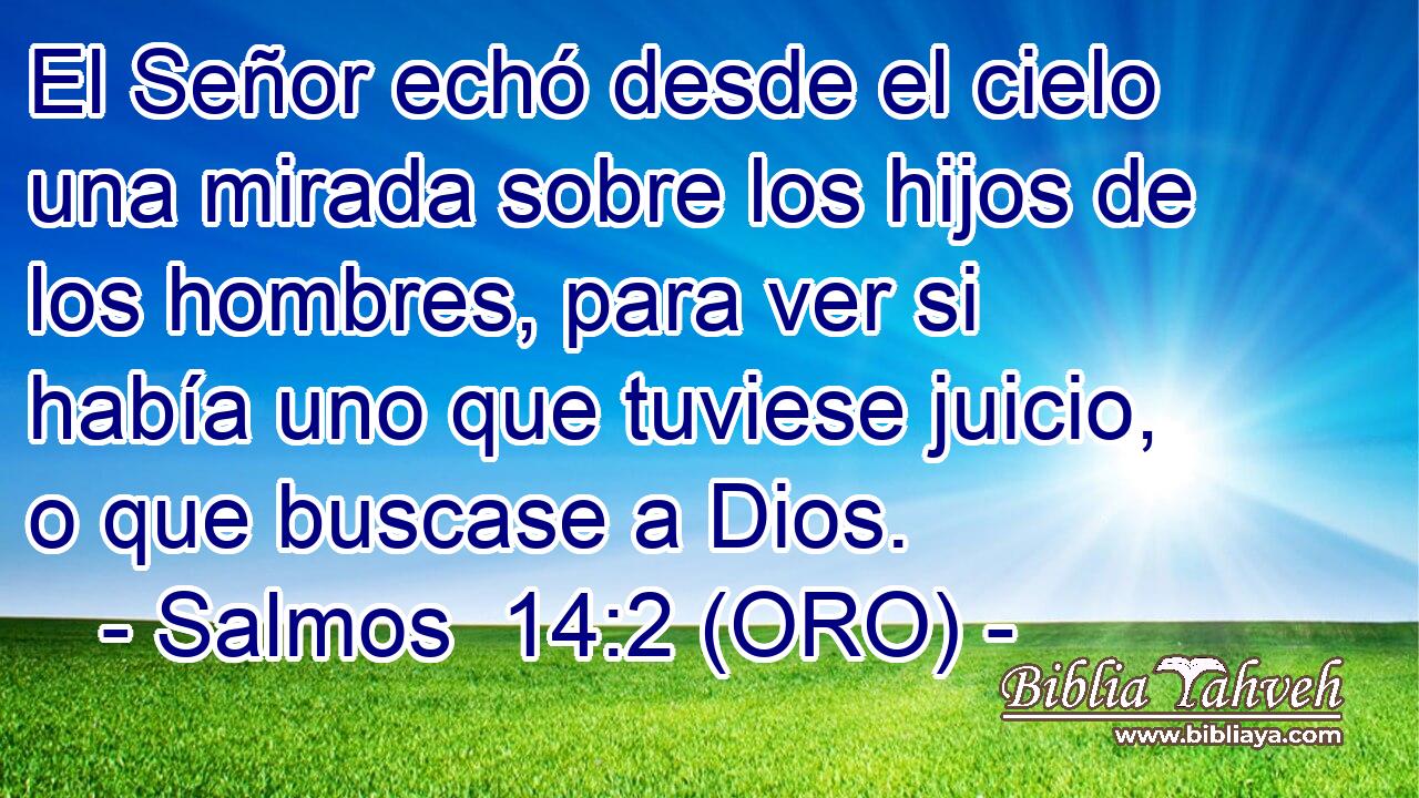  El Señor echó desde el cielo una mirada sobre los hijos de los hombres, para ver si había uno que tuviese juicio, o que buscase a Dios. 