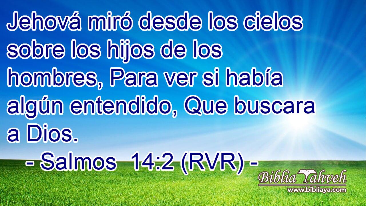 Jehová miró desde los cielos sobre los hijos de los hombres, Para ver si había algún entendido, Que buscara a Dios.