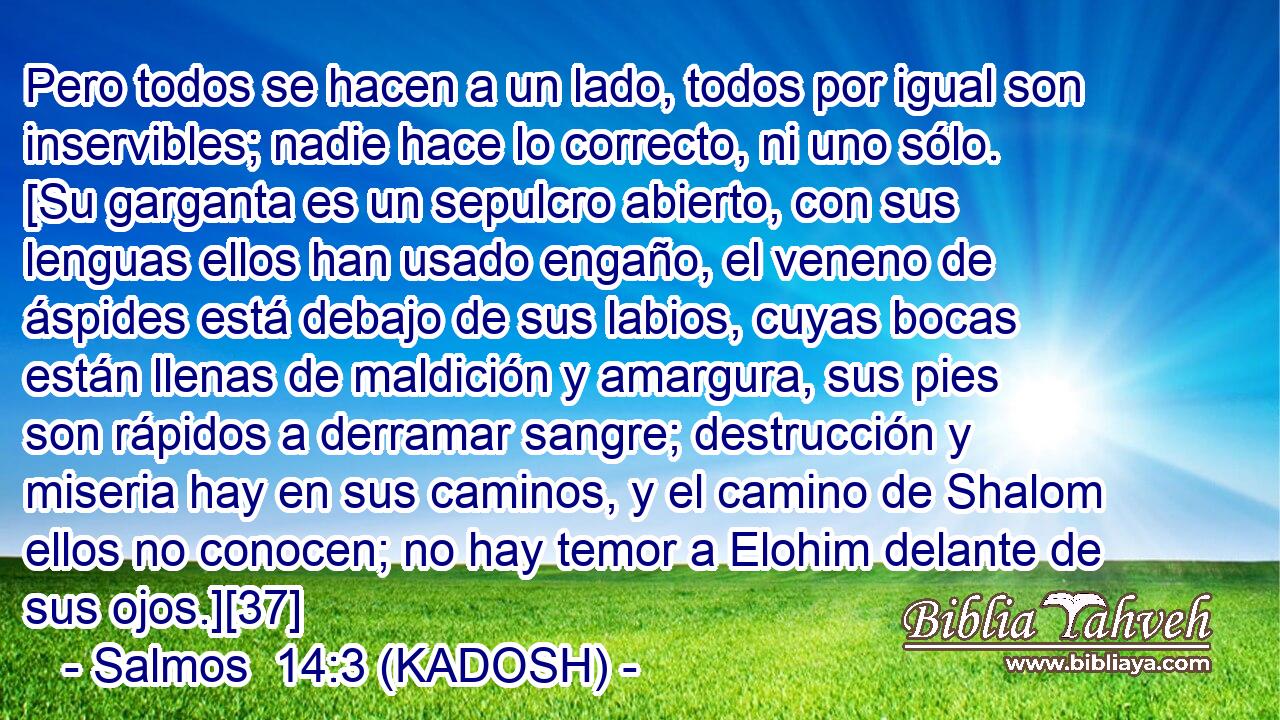  Pero todos se hacen a un lado, todos por igual son inservibles; nadie hace lo correcto, ni uno sólo. [Su garganta es un sepulcro abierto, con sus lenguas ellos han usado engaño, el veneno de áspides está debajo de sus labios, cuyas bocas están llenas de maldición y amargura, sus pies son rápidos a derramar sangre; destrucción y miseria hay en sus caminos, y el camino de Shalom ellos no conocen; no hay temor a Elohim delante de sus ojos.][37] 