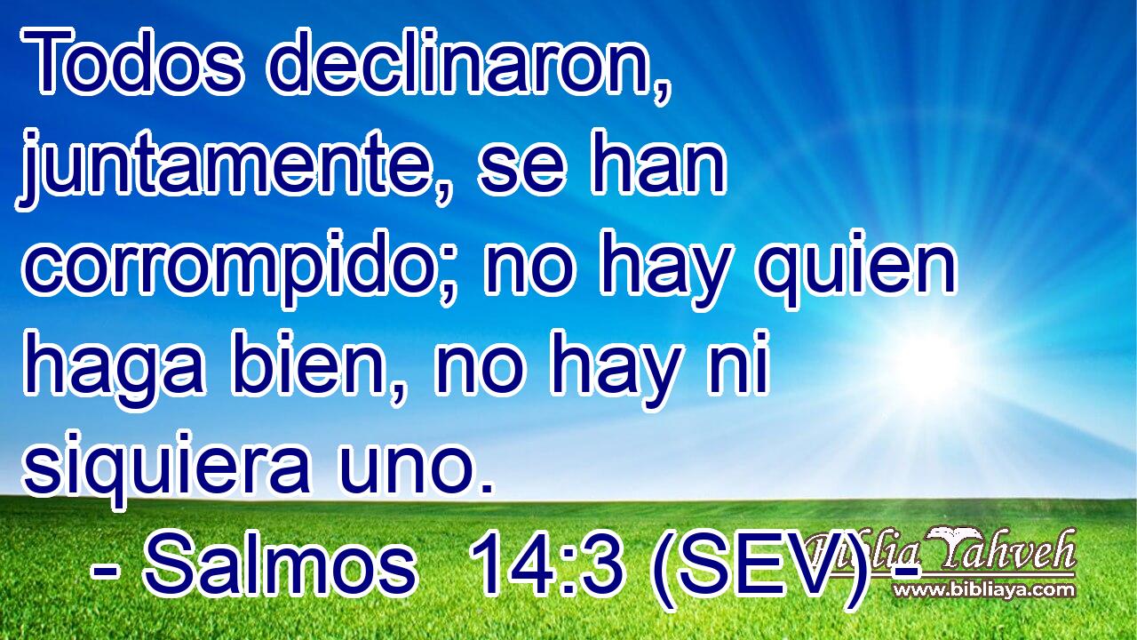 Todos declinaron, juntamente, se han corrompido; no hay quien haga bien, no hay ni siquiera uno.