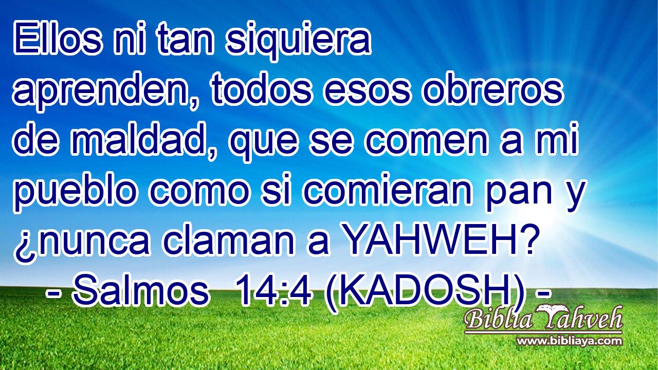  Ellos ni tan siquiera aprenden, todos esos obreros de maldad, que se comen a mi pueblo como si comieran pan y ¿nunca claman a YAHWEH? 